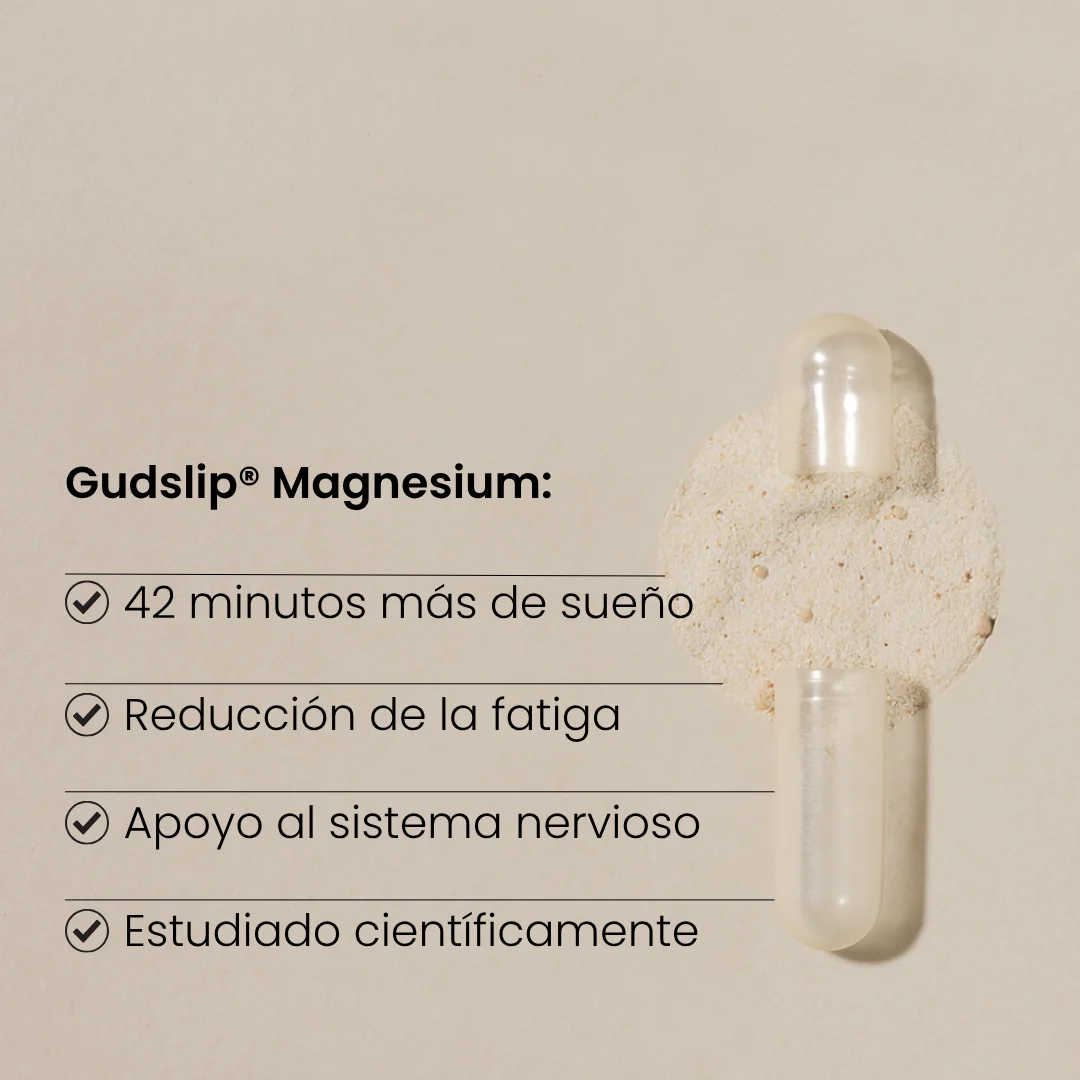 Protocolo Nocturno - Image 9